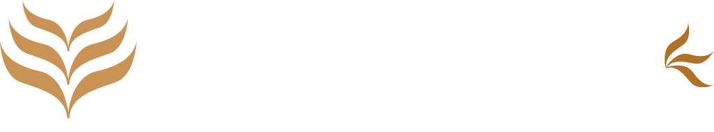 Vaas Aspire Logo